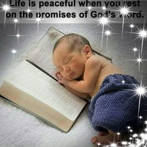 Meet your Posher, Dianne